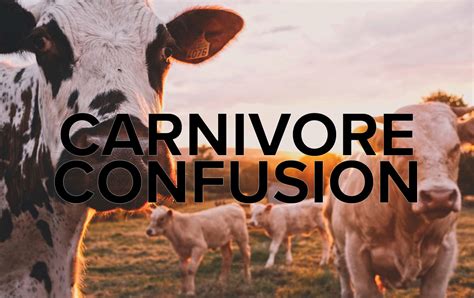 Literature / Carnivore Confusion .